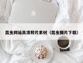 义乌昆虫网站高清照片素材（昆虫图片下载）